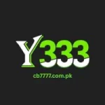 Y333 Game